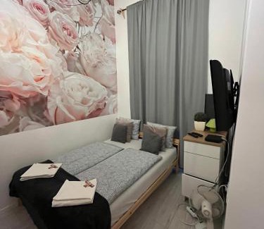 Inner City Budapest Apartamento | Spring Roses Downtown Boutique Hotel ON THE FAMOUS VÁCI FASHION STREET FREE COFFEE, TEE