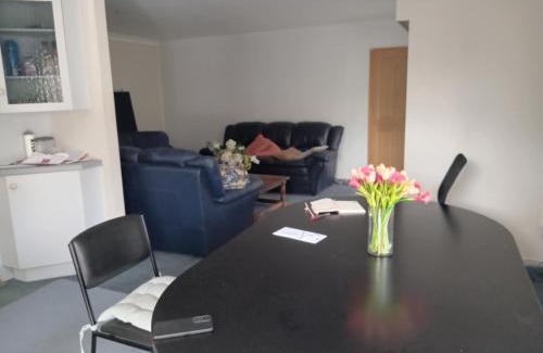 Tauranga Casa | Spring St city