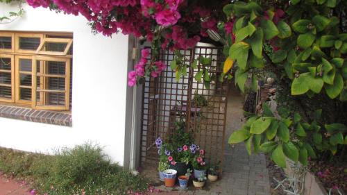 Greater Johannesburg Metropolitan Area Apartamento | Springbank Cottage at Roxburghe