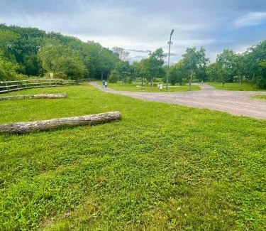 Newport Otro | Springfield Oaks campsite