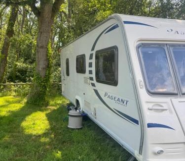 Newport Otro | Springfield Oaks campsite
