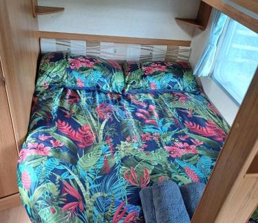 Newport Otro | Springfield Oaks campsite