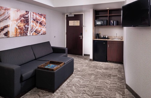 North Shore Hotel | Springhill Suites by Marriott Pittsburgh North Shore