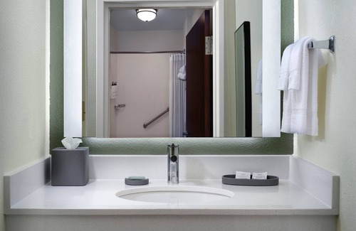 Metrocenter - North Rhodes Park Hotel | Springhill Suites By Marriott Metro Center