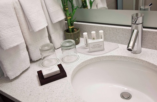 Booker T. Washington Hotel | Springhill Suites By Marriott Phoenix Downtown