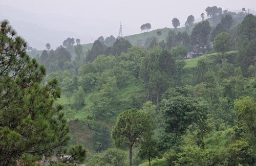 Muzaffarabad Cama Y Desayuno | Srinagar Homes