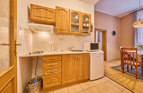Janske Lazne Apartamento | Stříbrný pramen by Interhome