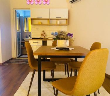 Novi Pazar Apartamento | Staša Apartmani