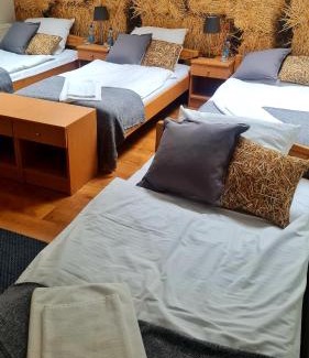 Głogow Małopolski Apartamento | Stadnina koni Leśna Wola