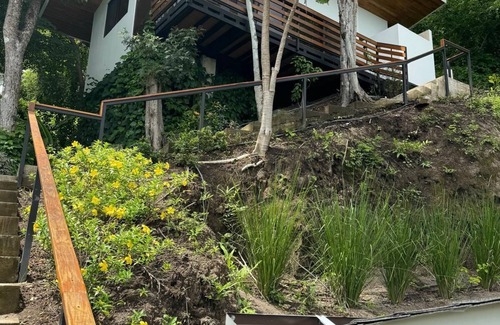 Paquera Apartamento | Stairway to heaven where the jungle meets the sky! Bioluminescence, Isla Tortuga
