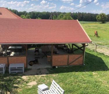 Ostrowin Casa | Stajnia Rogala
