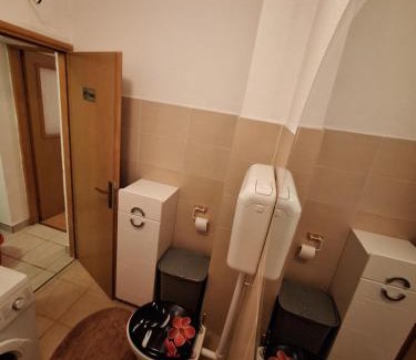 Canton 10 Apartamento | Stan na dan Grahovo