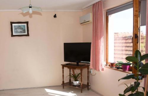 Zajecar Apartamento | Stancic 019