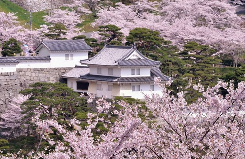 Nihommatsu Hotel | Standard room only plan twin room / Nihonmatsu Fukushima