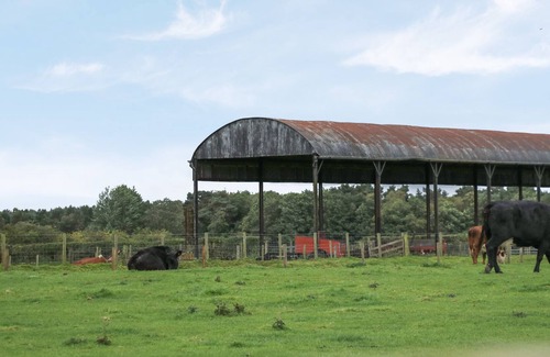 Wing Cabina | STANEGATE, pet friendly, with a garden in Brampton, Cumbria