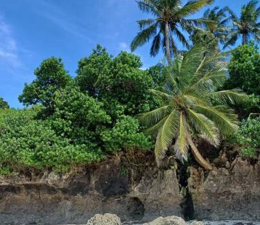 Gede Apartamento | Star Beach Paradise