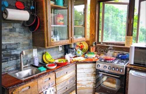 Upsala Casa | Star-Gazer Sky Cabin