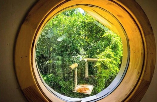 Upsala Casa | Star-Gazer Sky Cabin