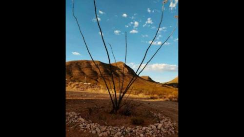 Bisbee Casa | StarGazer Hidaway