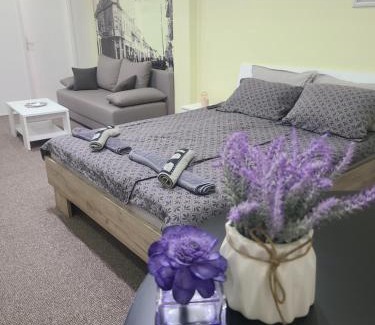 Zajecar Apartamento | Stari Zaječar apartments