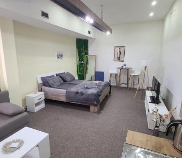 Zajecar Apartamento | Stari Zaječar apartments