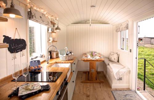 Faringdon Casa | Starlight Shepherd Hut