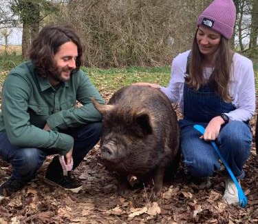 Irstead Casa | Starry Meadow & Rescued Animal Experiences