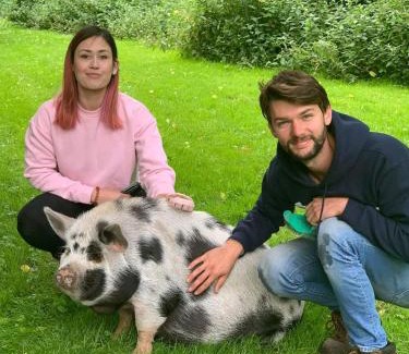 Irstead Casa | Starry Meadow & Rescued Animal Experiences