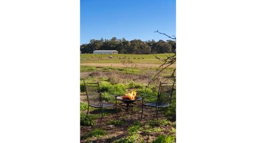 Forbes Casa | Starry Night Farmstay by Tiny Away