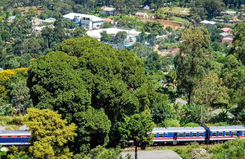 Diyathalawa Casa | Station hill holiday home