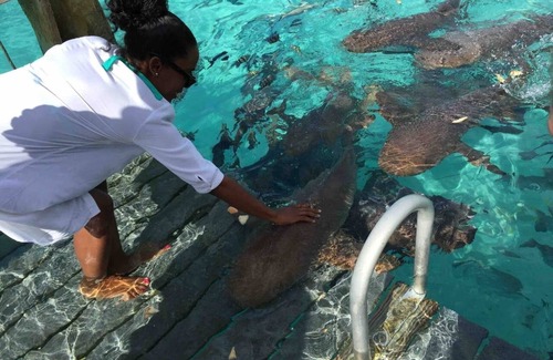 George Town Alquiler De Eote | Quédese a bordo de un yate de 42 pies en Paradise
