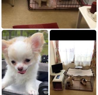 Hakodate Apartamento | STAY Akeboshi Kan