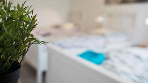 Hassels Apartamento | Stay and Work Düsseldorf