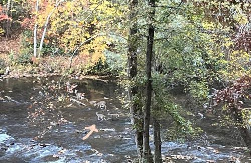 Dahlonega Casa | Stay at Rivermist Dahlonega