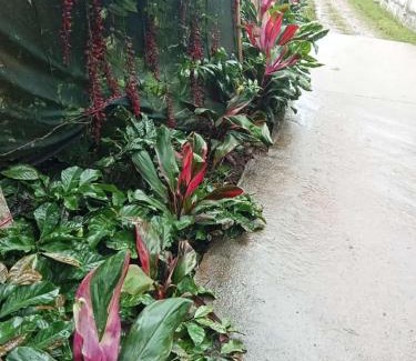 Chikkamagaluru Casa | Stay in Green Homestay hirakolale back water Chikmagalur 577101