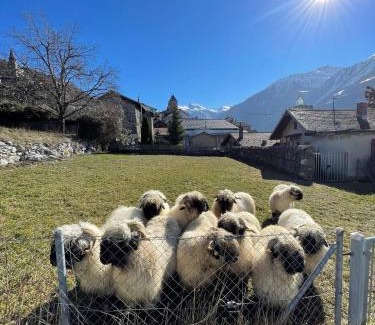 Leuk Apartamento | Stay in the Heart of Wallis