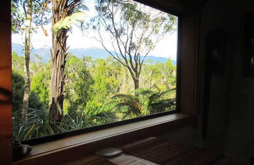 Charleston Cabina | Stay off the grid immersed in native flora and fauna