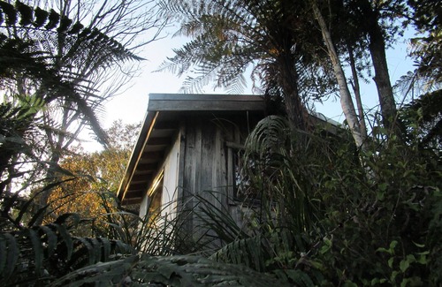 Charleston Cabina | Stay off the grid immersed in native flora and fauna