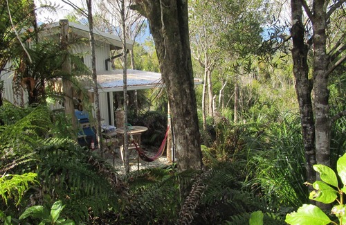 Charleston Cabina | Stay off the grid immersed in native flora and fauna