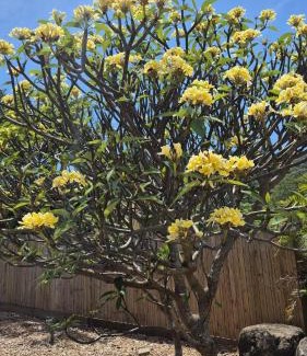 Nelly Bay Casa | Stay on Sooning