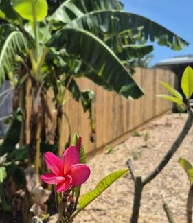 Nelly Bay Casa | Stay on Sooning