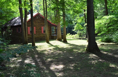 Elkins Cabina | FRENTE AL RÍO! BAÑERA DE HIDROMASAJE ! Privado. Mascota amigable. Personal completo