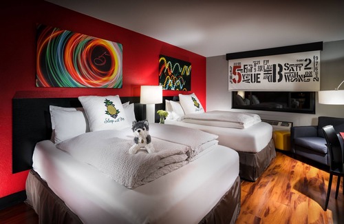 Belltown Hotel | Staypineapple, Hotel FIVE, Downtown Seattle