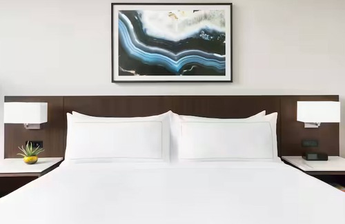 Downtown Tucson Hotel | Std 1 King, DoubleTree Tucson, Spacious Room & Restaurant, Close to University
