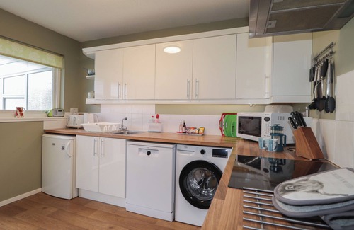 Aviemore Cabaña | Steam Cottage