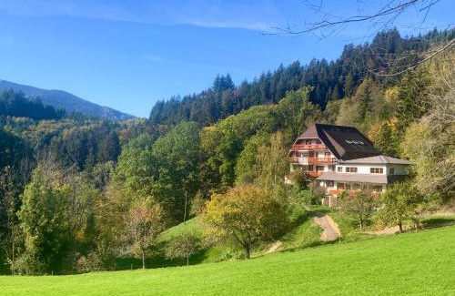 Haslachsimonswald Cama Y Desayuno | Steinweiden