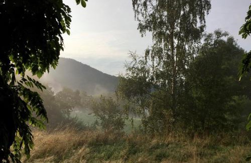 Haslachsimonswald Cama Y Desayuno | Steinweiden