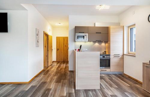 Kaltenbach Apartamento | Steinwender