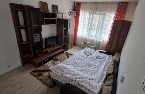 Floresti Apartamento | Stejarului App