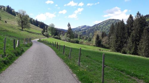 Steibis Apartamento | Stella Alpina, Skipass inkl